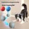 Smart Interactive Rolling Dog Toy Ball 0