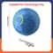 Smart Interactive Rolling Dog Toy Ball 21