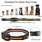 Waterproof Remote Dog Training Collar With Vibration 3