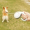 Automatic Retractable Dog Leash For Small And Medium Dogs 1