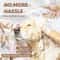 3 In 1 Silicone Dog Bath And Grooming Brush 1
