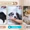 3 In 1 Silicone Dog Bath And Grooming Brush 8