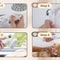 3 In 1 Silicone Dog Bath And Grooming Brush 9