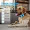 USB Rechargeable Ultrasonic Anti Bark Dog Training Collar 1