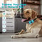USB Rechargeable Ultrasonic Anti Bark Dog Training Collar 1