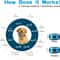USB Rechargeable Ultrasonic Anti Bark Dog Training Collar 2