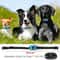 USB Rechargeable Ultrasonic Anti Bark Dog Training Collar 3
