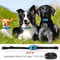 USB Rechargeable Ultrasonic Anti Bark Dog Training Collar 3
