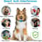USB Rechargeable Ultrasonic Anti Bark Dog Training Collar 4
