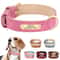 Personalized PU Leather Dog Collar With Engraved Nameplate 0