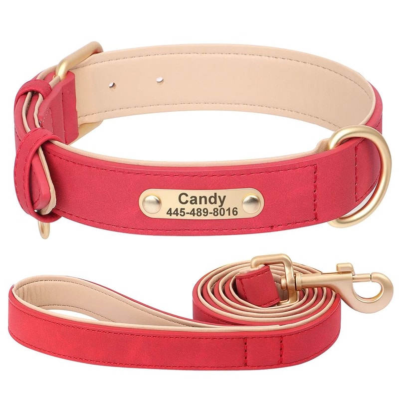 Personalized PU Leather Dog Collar With Engraved Nameplate 18