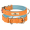 Personalized PU Leather Dog Collar With Engraved Nameplate 6