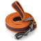 Lightweight Long Training Dog Leash For Small And Large Dogs 6