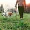 Lightweight Long Training Dog Leash For Small And Large Dogs 8