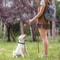 Lightweight Long Training Dog Leash For Small And Large Dogs 9