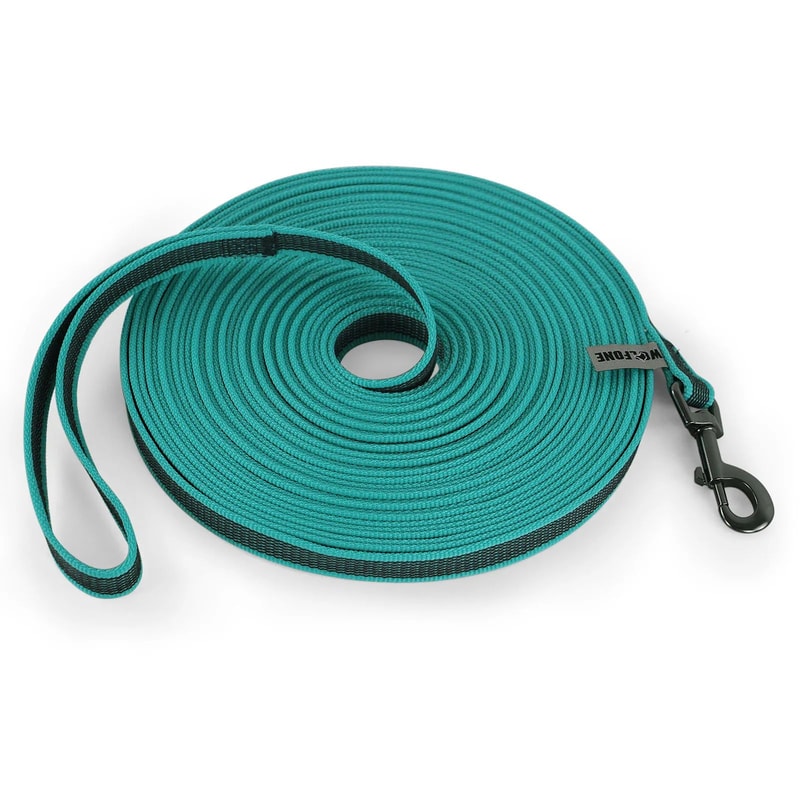 Lightweight Long Training Dog Leash For Small And Large Dogs 16