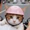 Pink Pet Motorcycle Helmet For Dogs And Cats 2