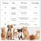 Soft Flannel Paw Print Pet Blanket 5