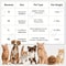 Soft Flannel Paw Print Pet Blanket 5