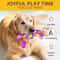 Durable Beef Flavor Dog Chew Toy For Interactive Play 1