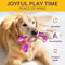 Durable Beef Flavor Dog Chew Toy For Interactive Play 1