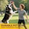 Durable Beef Flavor Dog Chew Toy For Interactive Play 4