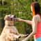 Durable Beef Flavor Dog Chew Toy For Interactive Play 8