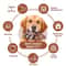 Durable Beef Flavor Dog Chew Toy For Interactive Play 10