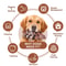 Durable Beef Flavor Dog Chew Toy For Interactive Play 10