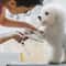 4pcs Stainless Steel Pet Grooming Scissors Set 2