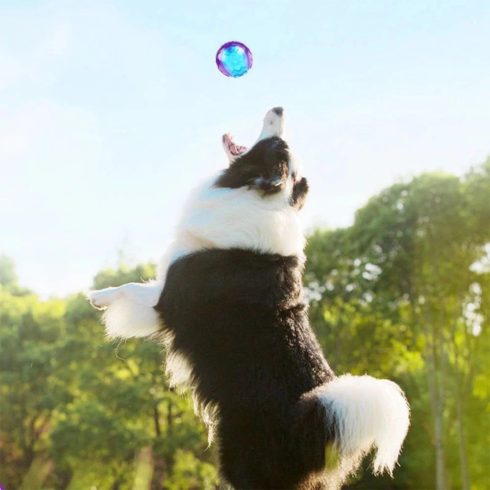 Natural Rubber Squeaky Ball Dog Toy For Puppies And Dogs 5