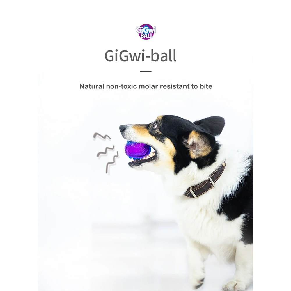 Natural Rubber Squeaky Ball Dog Toy For Puppies And Dogs 7