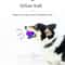 Natural Rubber Squeaky Ball Dog Toy For Puppies And Dogs 7