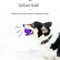Natural Rubber Squeaky Ball Dog Toy For Puppies And Dogs 7