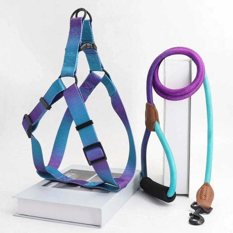 Adjustable Soft Mesh Dog Harness And Leash Set 5