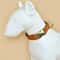 Cute Double Sided Pet Collar For Dogs And Cats 1