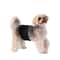 Reusable Washable Belly Band Diapers For Male Dogs 4