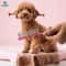 Professional Gradient Pet Grooming Tail Comb 6