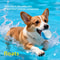 Glow In The Dark Durable Dog Fetch Ball 2