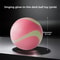 Glow In The Dark Durable Dog Fetch Ball 7