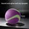 Glow In The Dark Durable Dog Fetch Ball 10
