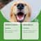 Yegbong Dog Teeth Cleaning Powder For Fresh Breath 2