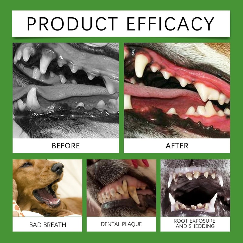 Yegbong Dog Teeth Cleaning Powder For Fresh Breath 9