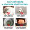 Stainless Steel Automatic Pet Water Fountain With Sensor 3