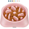 Non Slip Slow Feeder Puzzle Dog Bowl 0