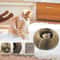 Foldable Magic Organ Cat Scratching Board Bed 3