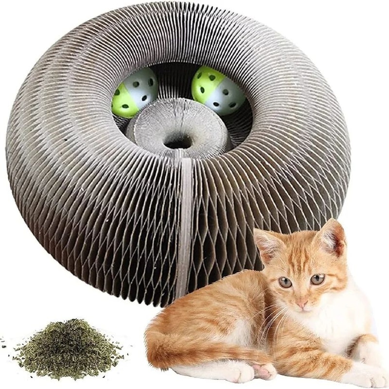 Foldable Magic Organ Cat Scratching Board Bed 4