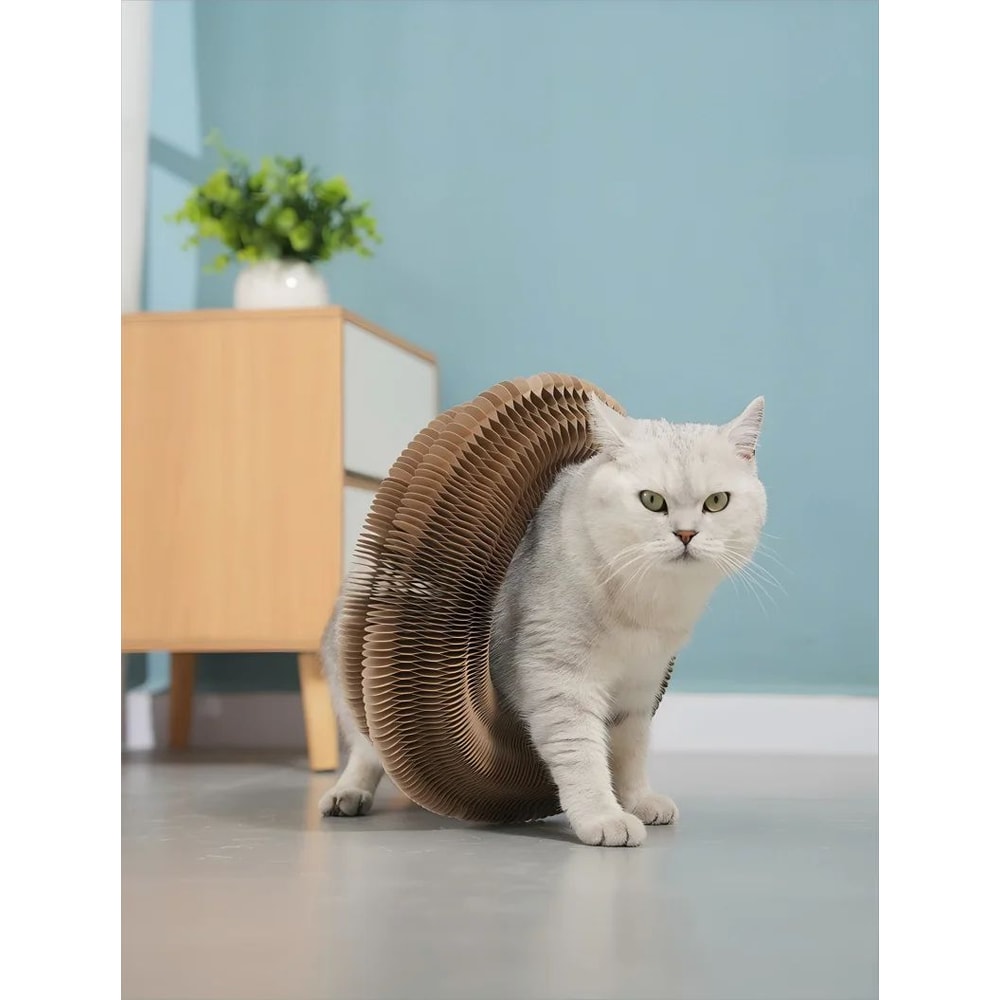 Foldable Magic Organ Cat Scratching Board Bed 6