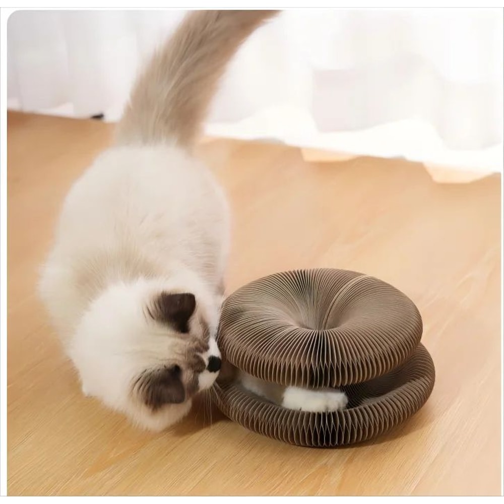 Foldable Magic Organ Cat Scratching Board Bed 7