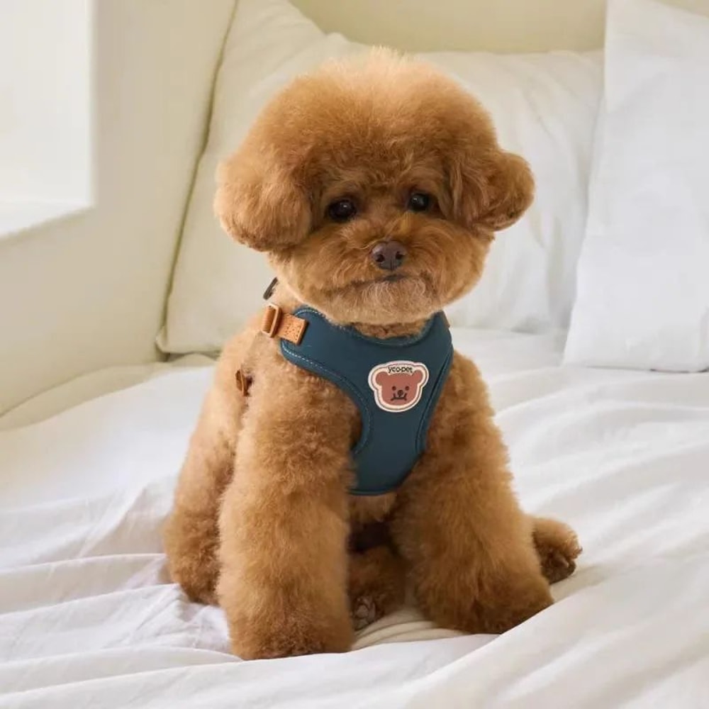 Cute Bear Adjustable Pet Harness And Leash Set 0